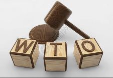 WTOcQ(mo)P(gun)֪Ra(chn)(qun)f(xi)V
